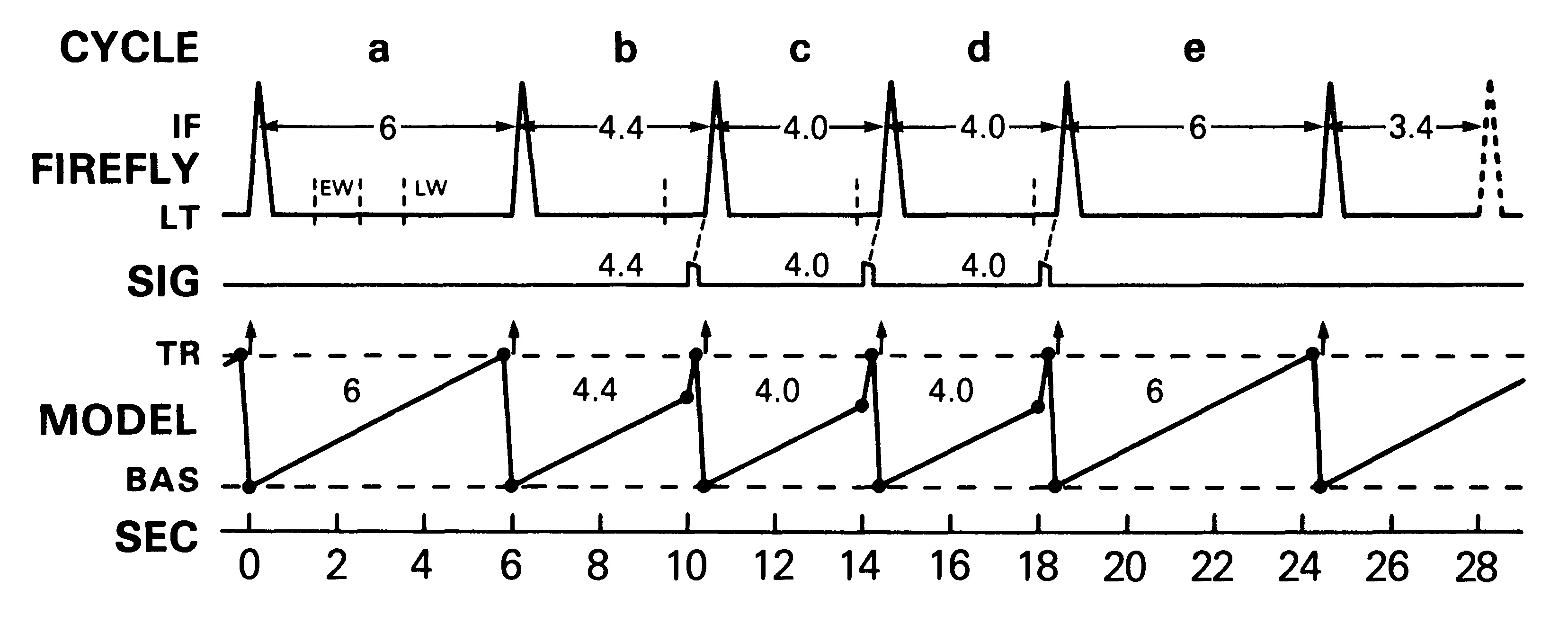 Diagramme temporel tiré de l'article de Buck de 1988